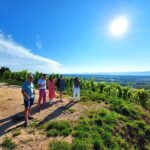 Full Day Guided Wine Tour with Tasting and Lunch - Final Thoughts: Is It Worth It?