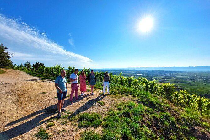 Full Day Guided Wine Tour with Tasting and Lunch - Final Thoughts: Is It Worth It?