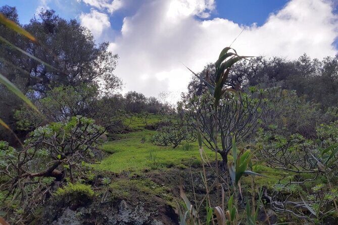 Full day Hiking and Waterfalls Experience - What to Expect on the Trail