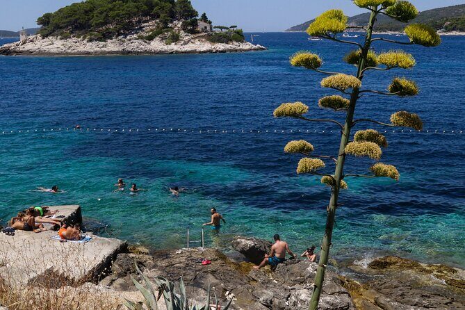 Full-Day Hvar & Pakleni Islands Speedboat Private Tour from Split - The Itinerary: A Well-Curated Day on the Water