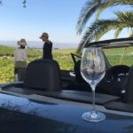 Full day in Cordoba between Vineyards and Olive Trees with a Convertible Car - Final Thoughts