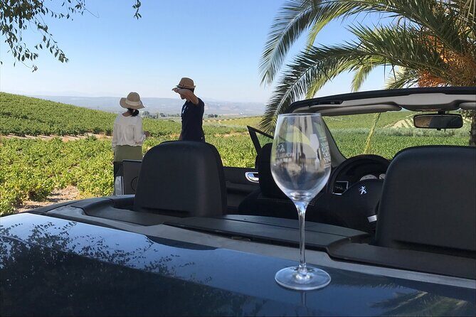 Full day in Cordoba between Vineyards and Olive Trees with a Convertible Car - Final Thoughts