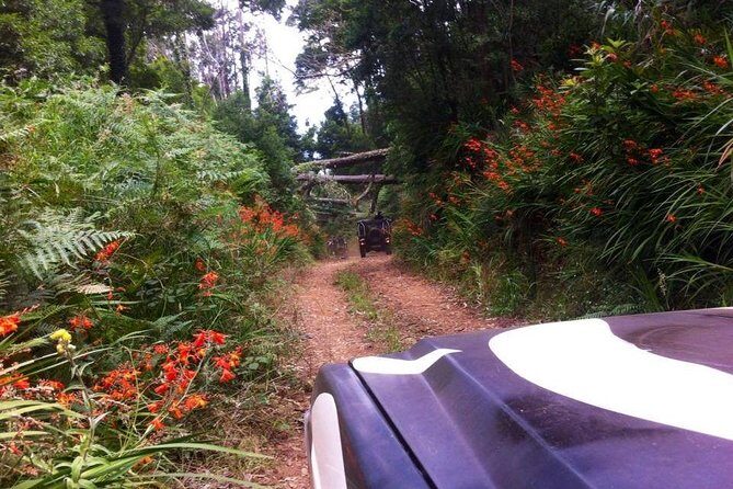 Full-Day Jeep Safari West - Porto Moniz - Seixal - Cabo Girão - Who Should Consider This Tour?