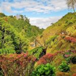Full day jeep tour Nordeste with lunch included - Who Is This Tour Best For?