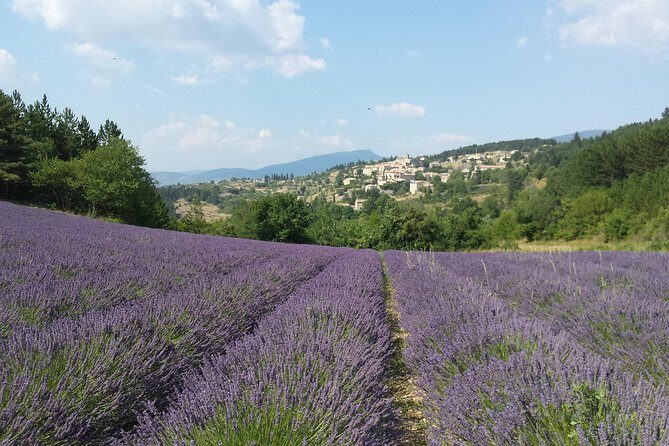 Full day lavender tour Luberon and Sault - The Sum Up