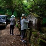 Full-Day, Pena, Regaleira & Monserrate . - What Travelers Say