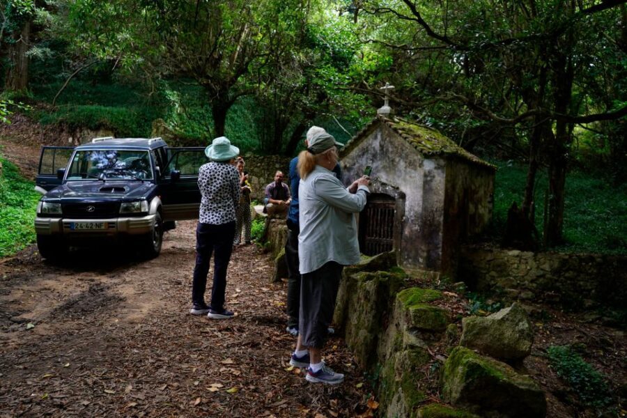 Full-Day, Pena, Regaleira & Monserrate . - What Travelers Say