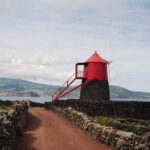 Full-Day Pico Island Tour from Horta - What We Love About This Tour