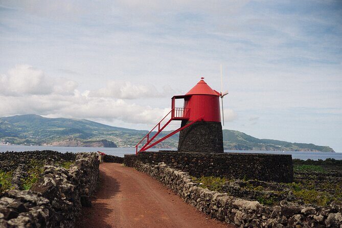 Full-Day Pico Island Tour from Horta - What We Love About This Tour