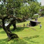 Full Day Private 4x4 Tour in West Madeira with Local Guide - Authentic Experiences and Local Insights
