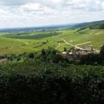 Full-day Private Burgundy Wine Route Tour from Beaune - Who Will Love This Tour?