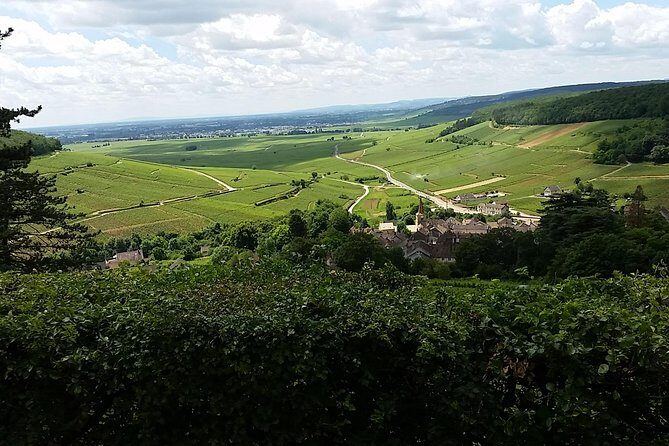 Full-day Private Burgundy Wine Route Tour from Beaune - Who Will Love This Tour?