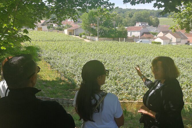Full-Day Private Champagne Tasting in Reims and its Vineyards - Exploring Reims: Landmarks and History