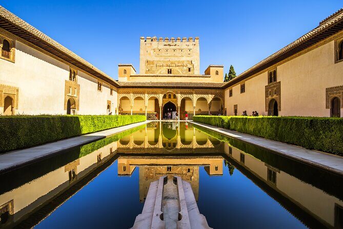 Full-Day Private Guided Tour in Alhambra from Costa del Sol - The Sum Up