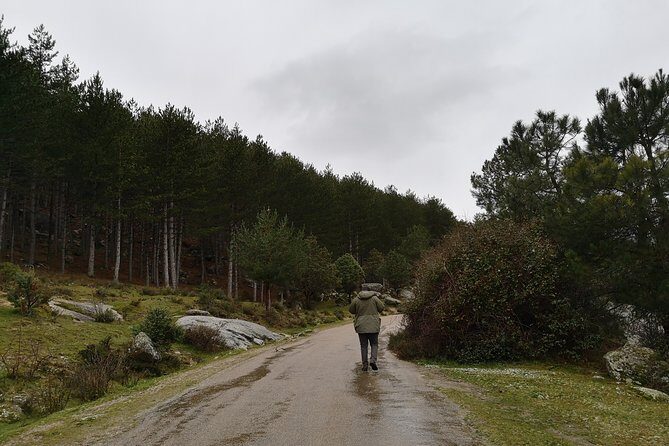 Full-Day Private Guided Tour to Guadarrama National Park