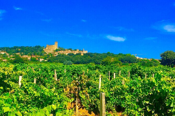 Full day private tour for 2-3 person - Why This Tour Offers Great Value