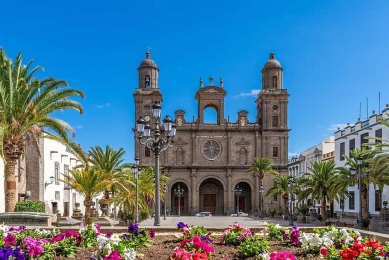 Full Day Private Tour in Las Palmas from Gran Canaria Port - Why Choose This Tour?