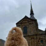 Full-day Private Tour in Mont Saint Michel with Calvados Tasting - Exploring the Itinerary in Detail
