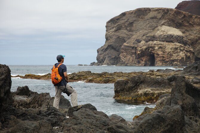 Full Day Private Trip Faial - Price and Value