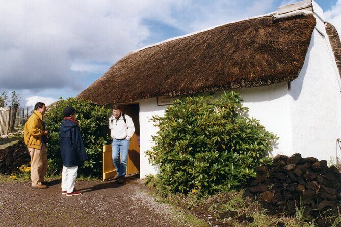 Full-Day Ring of Kerry Tour from Killarney - Final Thoughts