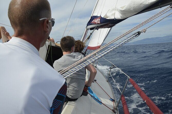 Full-Day Small-Group Dalmatian Coast Sailing Cruise from Split - Who Should Consider This Tour?