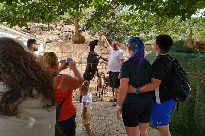 Full-Day Small-Group Tour in Crete & the cave of Zeus - Why This Tour Stands Out