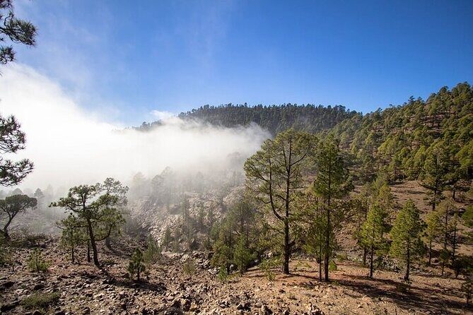 Full Day Small Group Tour to Masca and Teide From North Tenerife - Final Thoughts: Is It Worth It?