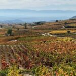 Full Day Tasting The Unknown Rioja Wine Region - Why This Tour Is Worth It