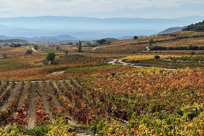 Full Day Tasting The Unknown Rioja Wine Region - Why This Tour Is Worth It