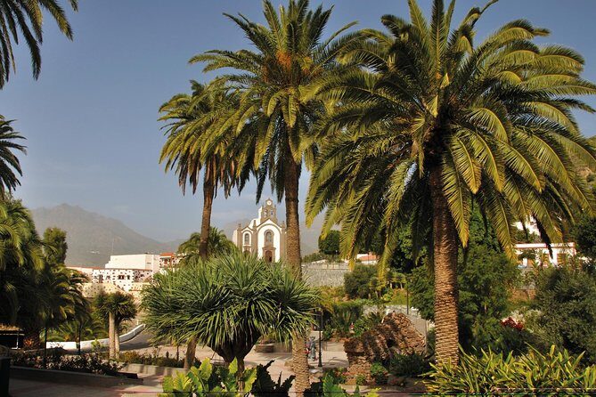 Full-Day Tour Exploring History, Nature and Aloe Vera Farm - Transportation and Group Size