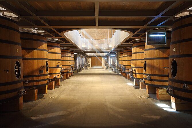 Full Day Tour Growth Classified Chateau and Village Saint Emilion - Practical Considerations and Tips
