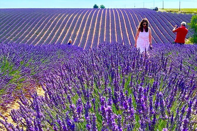 Full Day Tour in the Lavenders of Valensole or Sault - Final Thoughts: Is This Tour Right for You?