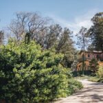 Full-Day Tour to Sintra and Cascais - The Itinerary in Detail