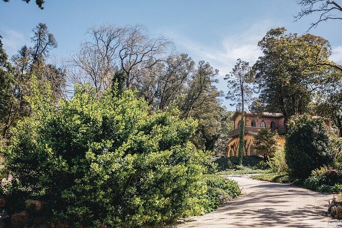 Full-Day Tour to Sintra and Cascais - The Itinerary in Detail