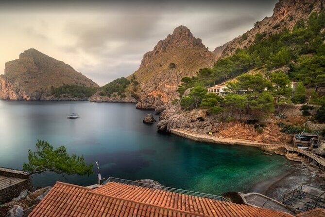 Full Day Tour to the Island of Mallorca - What the Reviews Say