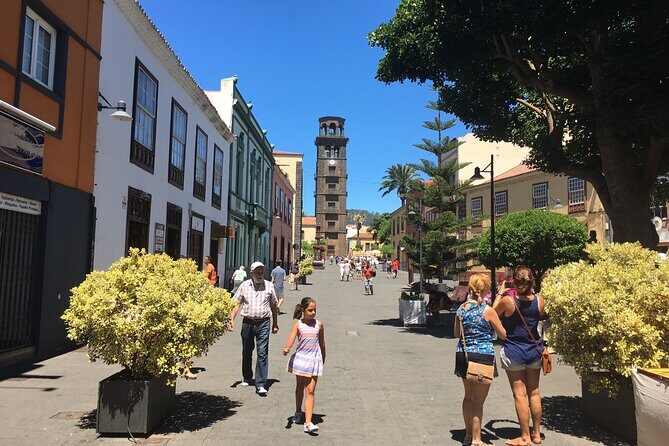 Full day tour visiting Santa Cruz, La Laguna and Anaga - Final Thoughts