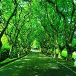 Full day Van Tour - The Value of This Tour