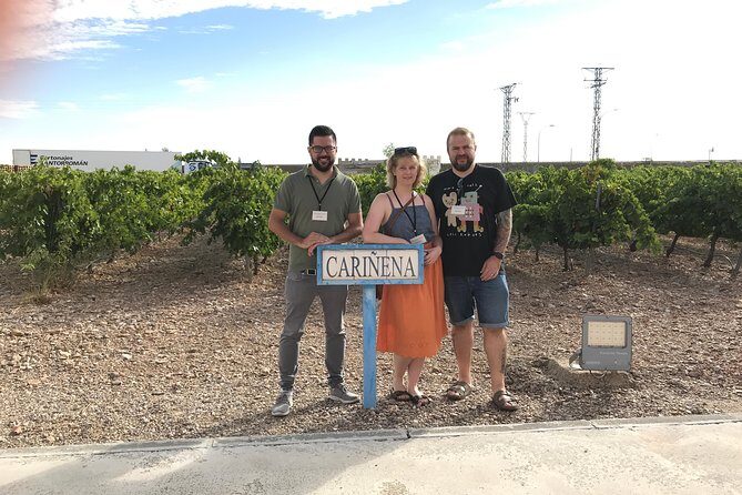 Full-Day Wine Excursion and Visit Goya Birthplace - Who Should Consider This Tour?