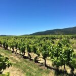 Full-Day Wine Tour around Luberon from Marseille - Why This Tour Offers Great Value