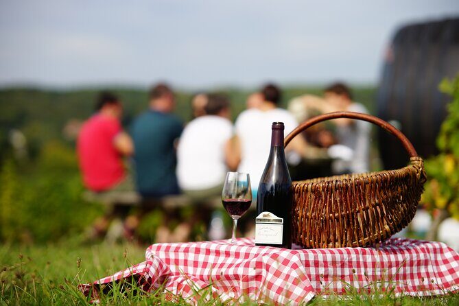 Full Day Wine Tour in Vouvray and Chinon with LUNCH at the winery - Detailed Review of the Tour Experience