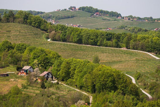 Full-Day Zagorje Medieval Castles and Varazdin Photo Tour from Zagreb - What Travelers Can Expect