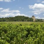 Full private day Avignon Chateuneuf du pape wine tasting - Frequently Asked Questions