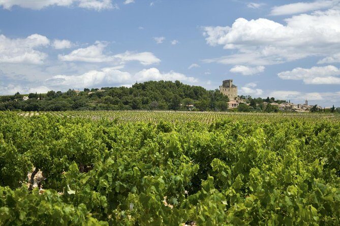 Full private day Avignon Chateuneuf du pape wine tasting - Frequently Asked Questions