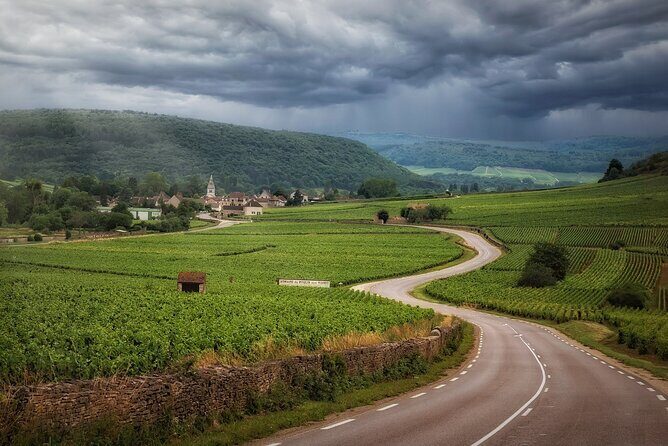 Full Rioja Wine Tour with Lunch from Bilbao Private Tour - Authentic Experiences and Highlights