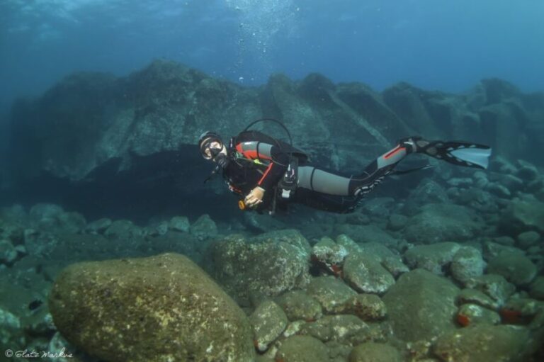 Funchal: Certified Scuba Diving, Guided Tour - Who Should Consider This Tour?