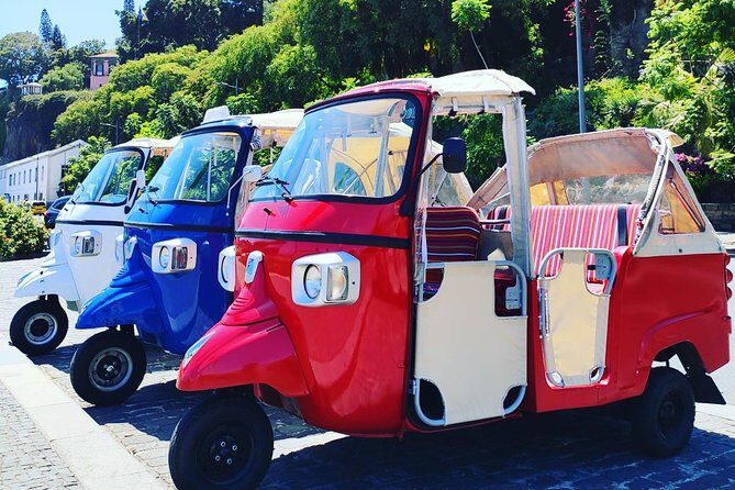 Funchal City Tour + Old Town - Final Thoughts: Who Should Book This Tour?