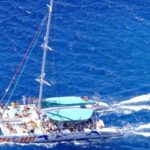 Funchal: Dolphin and Whale-watching Catamaran Tour - Who Will Love This Tour?