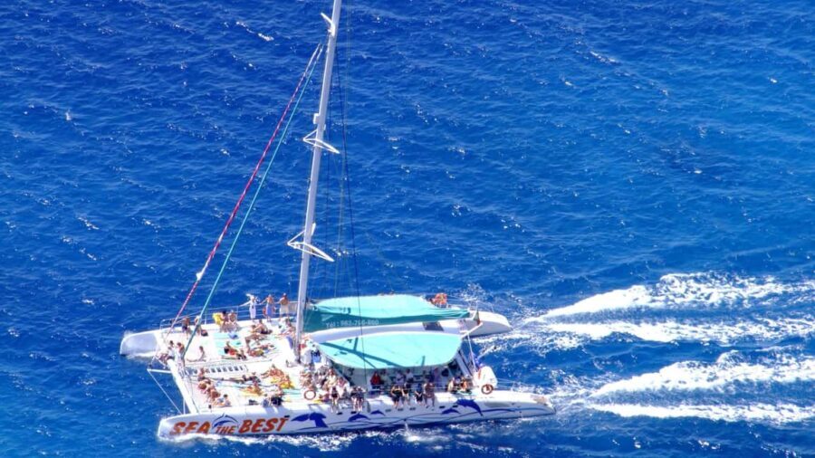 Funchal: Dolphin and Whale-watching Catamaran Tour - Who Will Love This Tour?