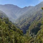 Funchal: Levada Caldeirão Verde Waterfalls and Forests Hike - A Closer Look at the Experience
