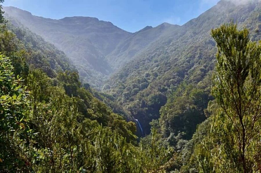 Funchal: Levada Caldeirão Verde Waterfalls and Forests Hike - A Closer Look at the Experience